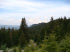 272-dsc02500.jpg.small.jpeg