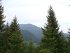 275-dsc02503.jpg.small.jpeg