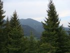 276-dsc02504.jpg.small.jpeg