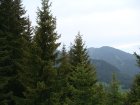 277-dsc02505.jpg.small.jpeg