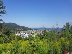 20170802_112108.jpg