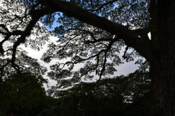 NKN_0016.JPG