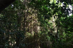 NKN_0052.JPG