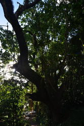 NKN_0057.JPG