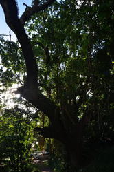 NKN_0058.JPG