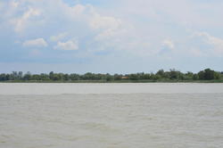 DSC_2175.JPG