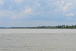 DSC_2176.JPG