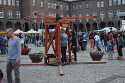 DSC_2551.JPG
