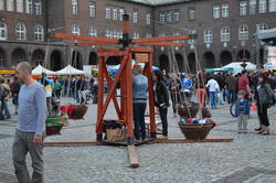 DSC_2552.JPG