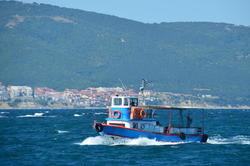 NKN_3309.JPG