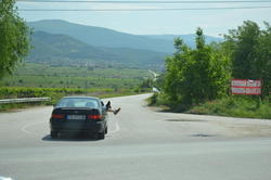 DSC_1519.JPG