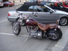 015-DSC05330.JPG.small.jpeg