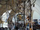 018-DSC05333.JPG.small.jpeg