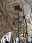024-DSC05339.JPG.small.jpeg