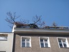 051-DSC05366.JPG.small.jpeg