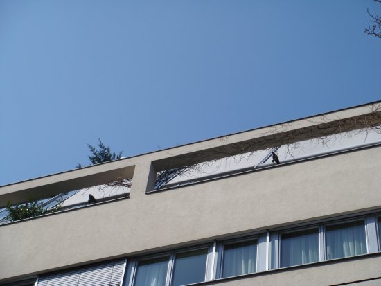 052-DSC05367.JPG.medium.jpeg