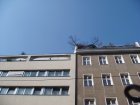 053-DSC05368.JPG.small.jpeg