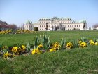 057-DSC05372.JPG.small.jpeg