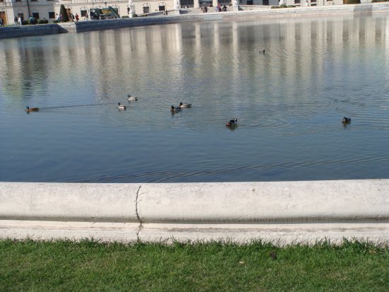 067-DSC05382.JPG.medium.jpeg