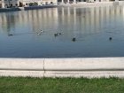 067-DSC05382.JPG.small.jpeg