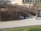 121-DSC05436.JPG.small.jpeg