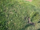 125-DSC05440.JPG.small.jpeg