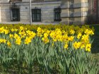 144-DSC05459.JPG.small.jpeg