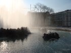 159-DSC05474.JPG.small.jpeg