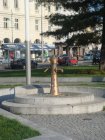 160-DSC05475.JPG.small.jpeg