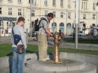 162-DSC05477.JPG.small.jpeg
