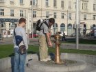 163-DSC05478.JPG.small.jpeg