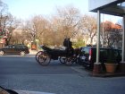 170-DSC05485.JPG.small.jpeg