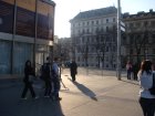 173-DSC05488.JPG.small.jpeg