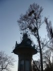 190-DSC05507.JPG.small.jpeg