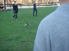 192-DSC05509.JPG.small.jpeg