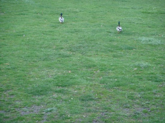 193-DSC05510.JPG.medium.jpeg
