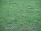 193-DSC05510.JPG.small.jpeg