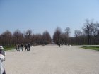 074-DSC05589.JPG.small.jpeg