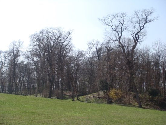 096-DSC05611.JPG.medium.jpeg