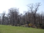 096-DSC05611.JPG.small.jpeg