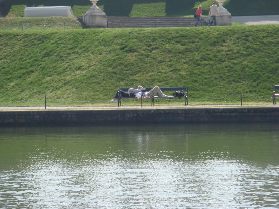 104-DSC05619.JPG.medium.jpeg