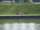 104-DSC05619.JPG.small.jpeg