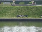 105-DSC05620.JPG.small.jpeg