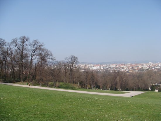 112-DSC05627.JPG.medium.jpeg