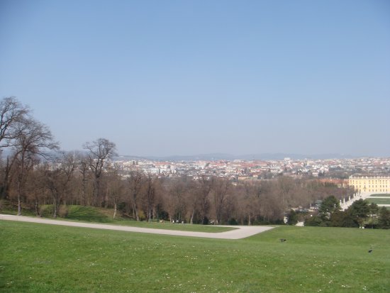 113-DSC05628.JPG.medium.jpeg