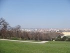 113-DSC05628.JPG.small.jpeg