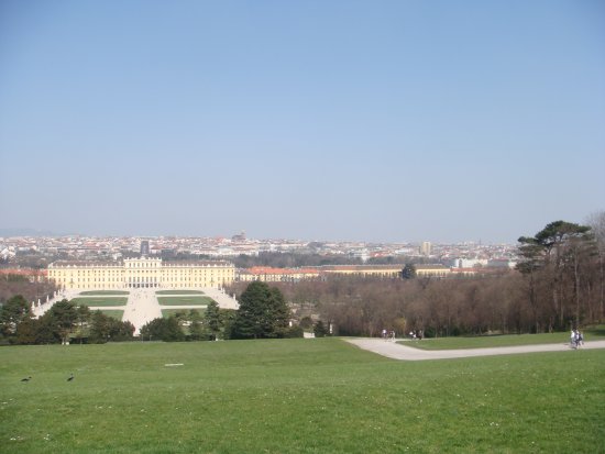 118-DSC05633.JPG.medium.jpeg