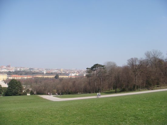 120-DSC05635.JPG.medium.jpeg