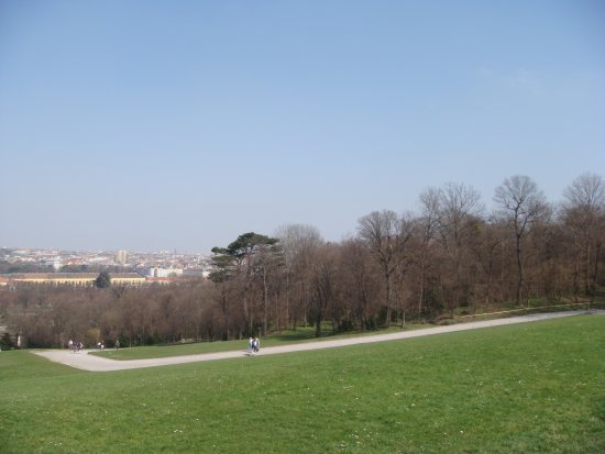 121-DSC05636.JPG.medium.jpeg