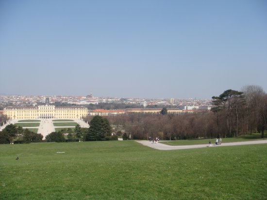 122-DSC05637.JPG.medium.jpeg